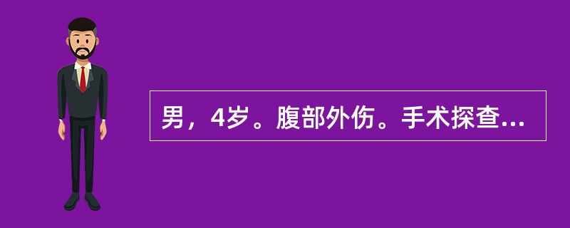 男，4岁。腹部外伤。手术探查发现脾下极有一4cm裂伤，深5cm，最佳手术方式是（　　）。