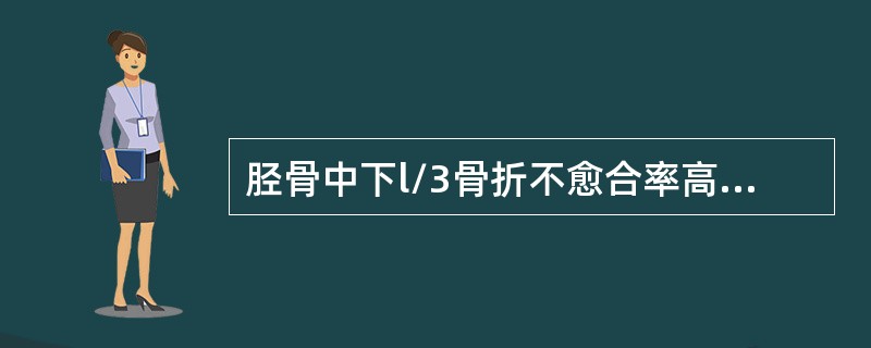 胫骨中下l/3骨折不愈合率高，原因在于（　　）。