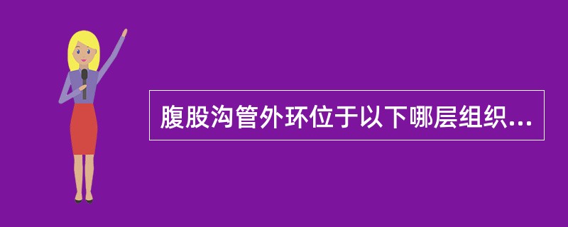 腹股沟管外环位于以下哪层组织上？（　　）