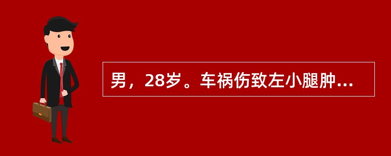 男，28岁。车祸伤致左小腿肿胀、压痛，膝下8cm处成角畸形，小腿短缩，胫骨前侧有1Ocm皮肤裂口，足背动脉搏动消失，正确的诊断是（　　）。
