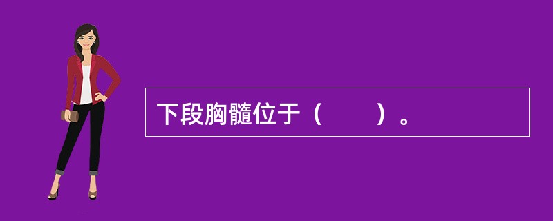 下段胸髓位于（　　）。