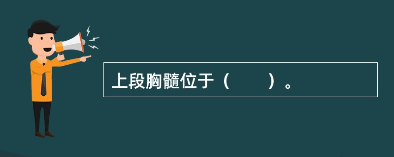 上段胸髓位于（　　）。