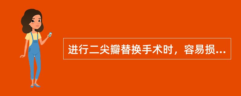 进行二尖瓣替换手术时，容易损伤哪支冠状动脉？（　　）