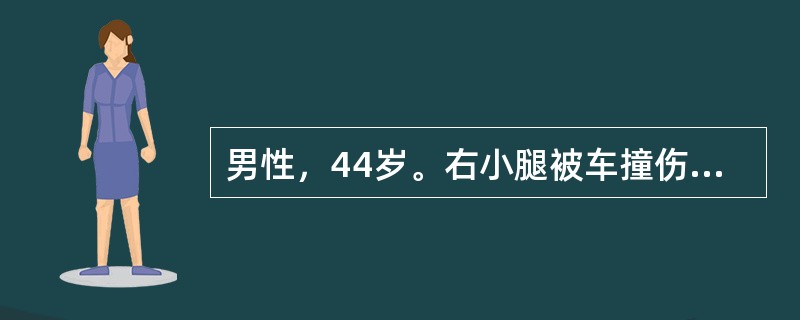 男性，44岁。右小腿被车撞伤1天，剧痛。右足不能主动背伸，足背动脉搏动消失，足趾感觉过敏，小腿肿，皮肤略红，温度稍高。此症的严重后果是（　　）。