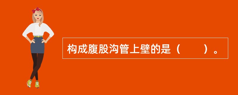 构成腹股沟管上壁的是（　　）。