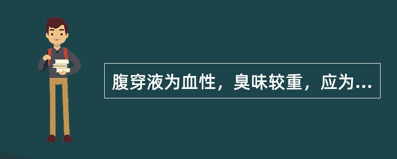 腹穿液为血性，臭味较重，应为（　　）。