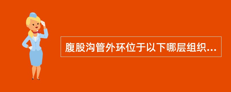 腹股沟管外环位于以下哪层组织上？（　　）