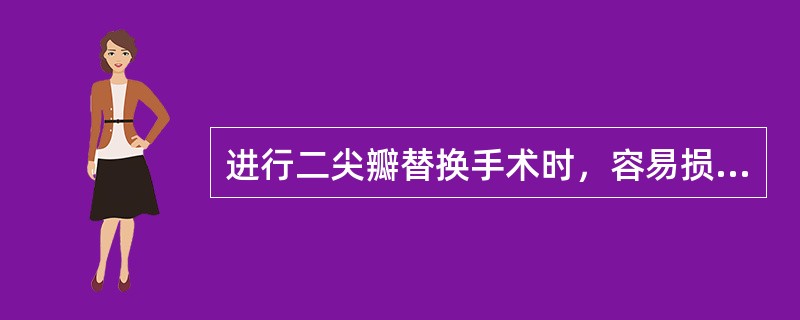 进行二尖瓣替换手术时，容易损伤哪支冠状动脉？（　　）