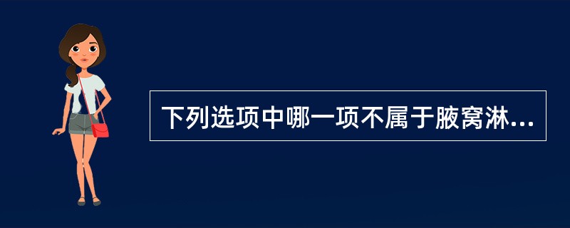 下列选项中哪一项不属于腋窝淋巴结分组？（　　）