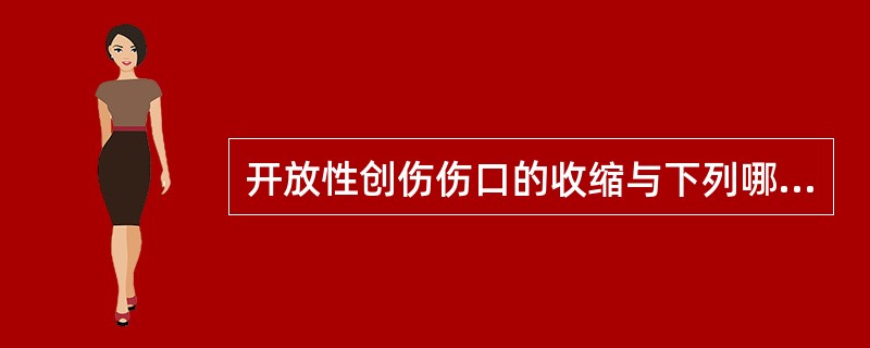 开放性创伤伤口的收缩与下列哪项因素有关？（　　）