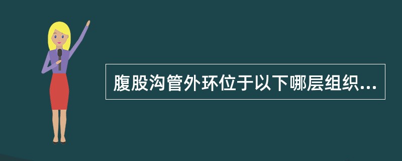 腹股沟管外环位于以下哪层组织上？（　　）