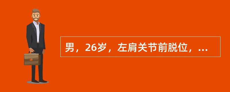 男，26岁，左肩关节前脱位，经手法复位后固定，其肩关节固定的位置为（　　）。