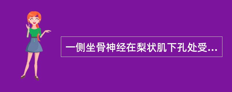 一侧坐骨神经在梨状肌下孔处受损，将出现（　　）。