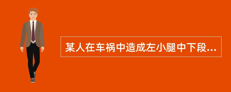 某人在车祸中造成左小腿中下段外伤，疼痛、流血、异常活动，被人简单包扎后立即送到附近医院，经检查发现小腿中下段胫腓骨骨折，诊断小腿中下段开放性骨折。如果此人伤口1cm，为骨折断端刺破皮肤短斜行骨折，正确