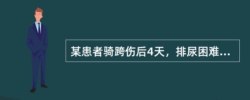 某患者骑跨伤后4天，排尿困难，尿道口流血。查体：发热，阴囊明显肿大，发绀。其处理方法应是（　　）。