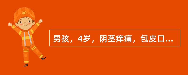 男孩，4岁，阴茎痒痛，包皮口排出乳白色豆腐渣样物。检查发现包皮水肿，阴茎头红，包皮与阴茎头粘连，包皮内可及1个黄豆大的小结节。考虑诊断为（　　）。