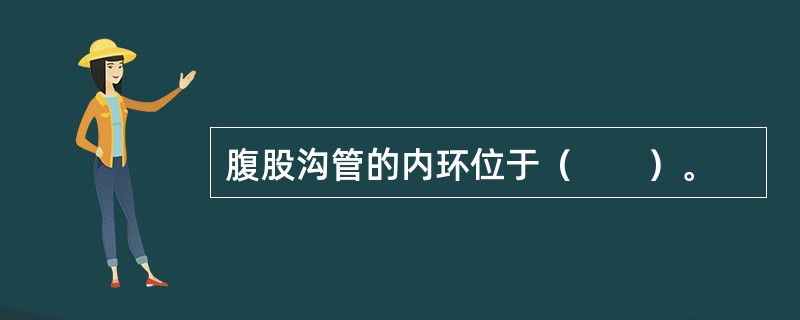 腹股沟管的内环位于（　　）。