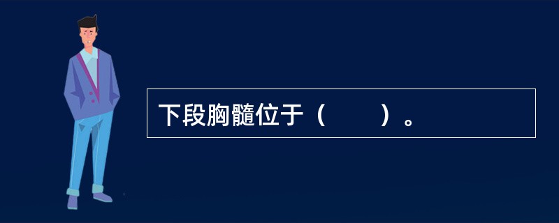 下段胸髓位于（　　）。
