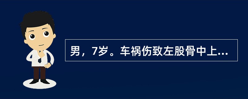 男，7岁。车祸伤致左股骨中上段螺旋形骨折6周，复查X线检查提示骨折远端向上移位2cm，向内向后移位1cm，向前成角10°，骨折断端已有骨痂形成，其首选治疗方案是（　　）。