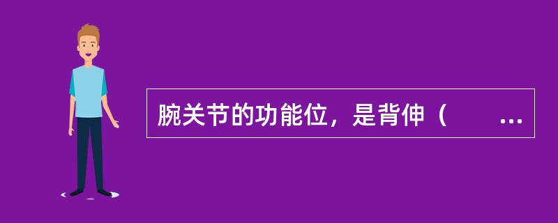 腕关节的功能位，是背伸（　　）。