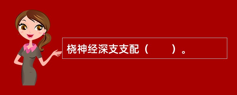 桡神经深支支配（　　）。