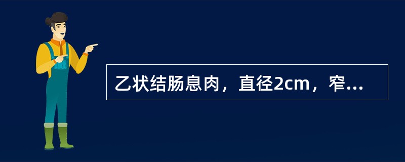 乙状结肠息肉，直径2cm，窄蒂，手术术式应选择（　　）。