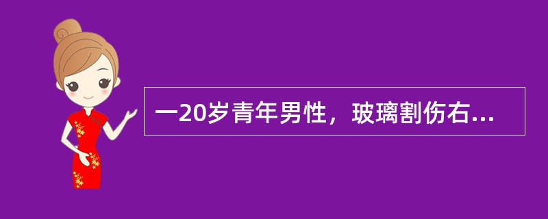 一20岁青年男性，玻璃割伤右前臂如患者为陈旧性神经损伤，下列哪条神经最常作为神经移植的供体？（　　）
