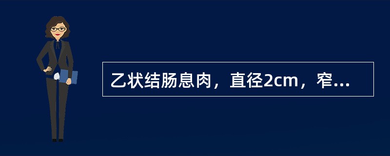 乙状结肠息肉，直径2cm，窄蒂，手术术式应选择（　　）。