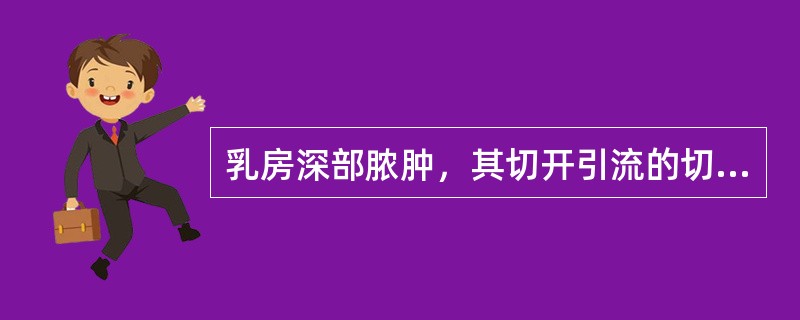 乳房深部脓肿，其切开引流的切口是（　　）。
