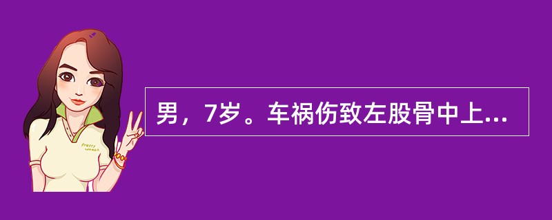 男，7岁。车祸伤致左股骨中上段螺旋形骨折6周，复查X线检查提示骨折远端向上移位2cm，向内向后移位1cm，向前成角10°，骨折断端已有骨痂形成，其首选治疗方案是（　　）。
