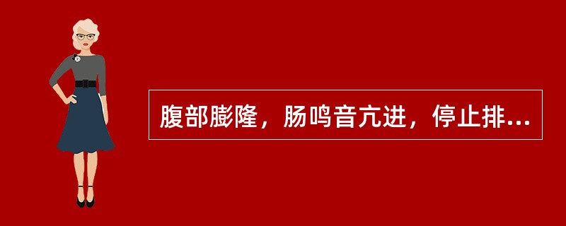 腹部膨隆，肠鸣音亢进，停止排气排便是（　　）。
