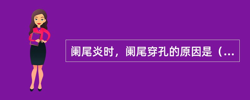 阑尾炎时，阑尾穿孔的原因是（　　）。