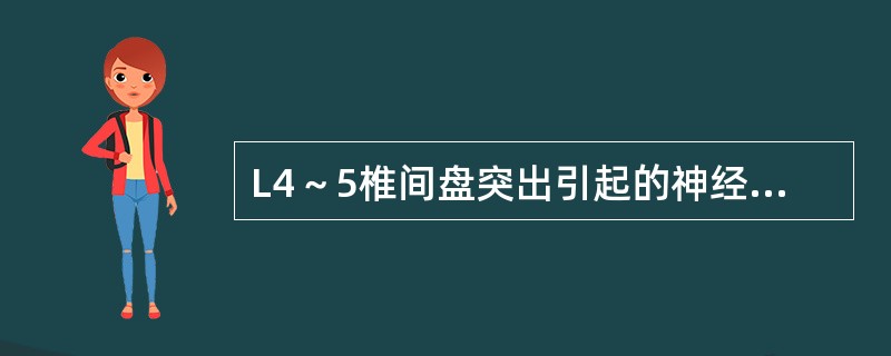 L4～5椎间盘突出引起的神经麻木区是在（　　）。