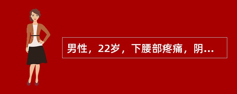 男性，22岁，下腰部疼痛，阴雨天加重近1个月，同时伴有部活动不便，并逐渐累及胸部。初步诊断应考虑为（　　）。