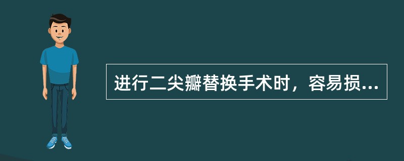 进行二尖瓣替换手术时，容易损伤哪支冠状动脉？（　　）