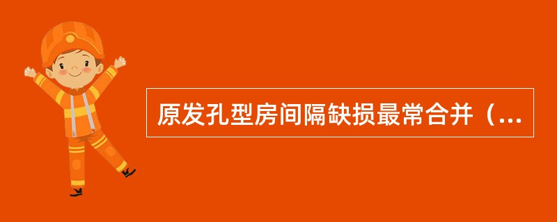 原发孔型房间隔缺损最常合并（　　）。