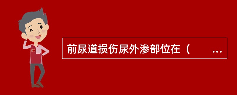 前尿道损伤尿外渗部位在（　　）。