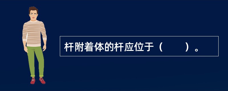 杆附着体的杆应位于（　　）。