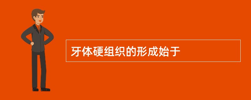 牙体硬组织的形成始于