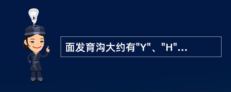 面发育沟大约有"Y"、"H"、"U"形的牙是