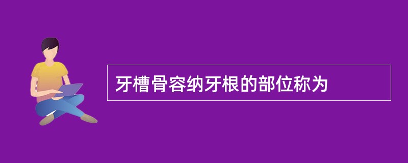 牙槽骨容纳牙根的部位称为