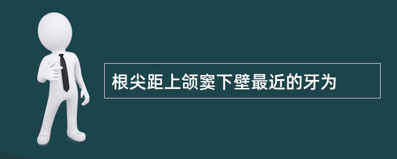 根尖距上颌窦下壁最近的牙为