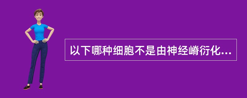 以下哪种细胞不是由神经嵴衍化而来的？（　　）