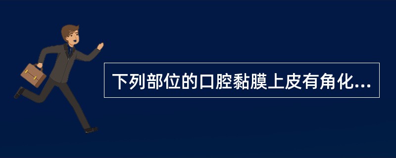 下列部位的口腔黏膜上皮有角化，除了