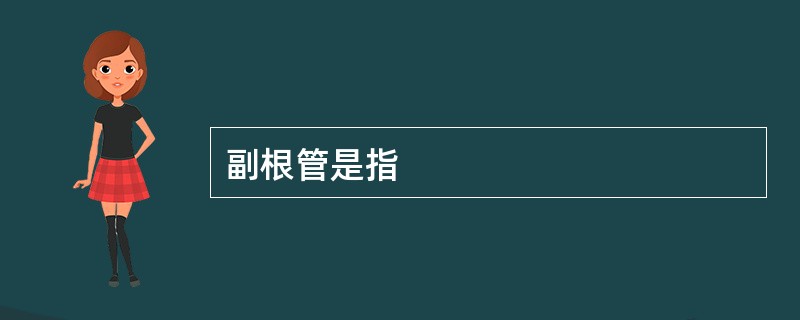 副根管是指