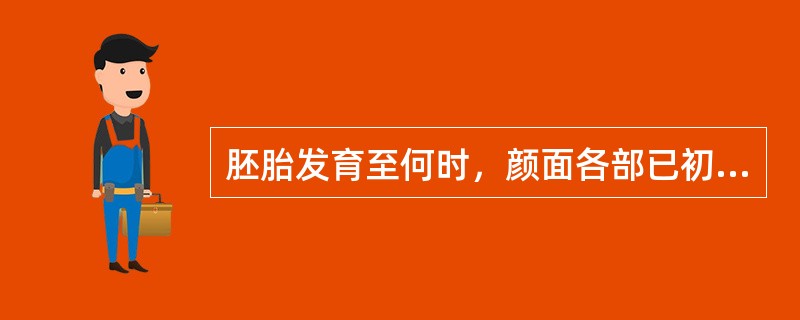 胚胎发育至何时，颜面各部已初具人形（　　）。