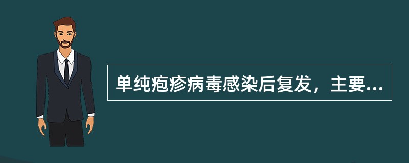 单纯疱疹病毒感染后复发，主要是因为是（　　）。