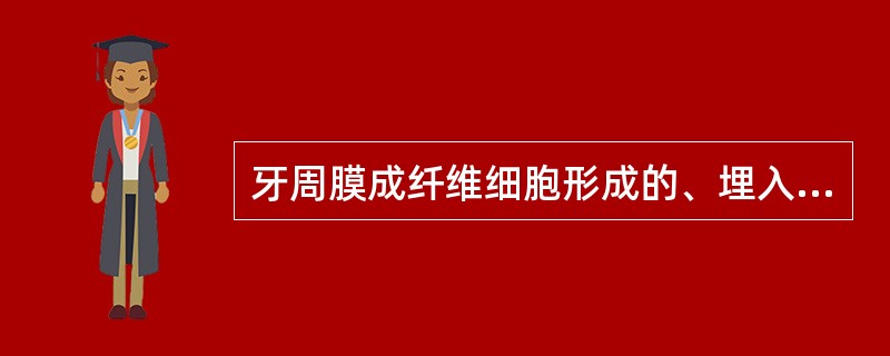 牙周膜成纤维细胞形成的、埋入牙骨质中的胶原纤维称（　　）。