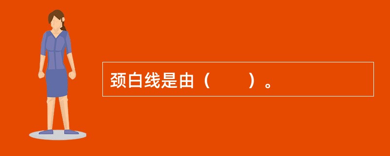颈白线是由（　　）。