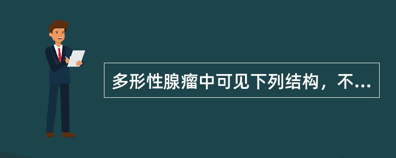 多形性腺瘤中可见下列结构，不包括（　　）。